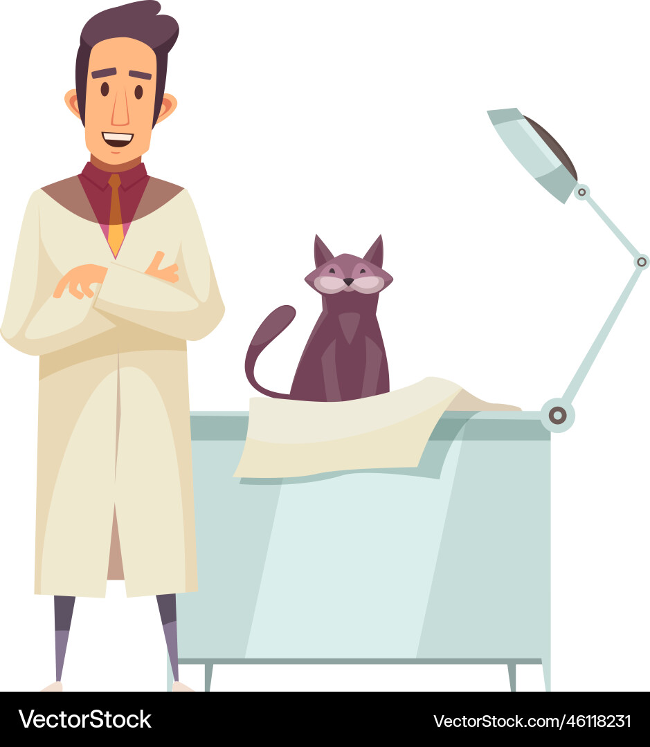 Cat and vet composition Cat and vet composition vector image