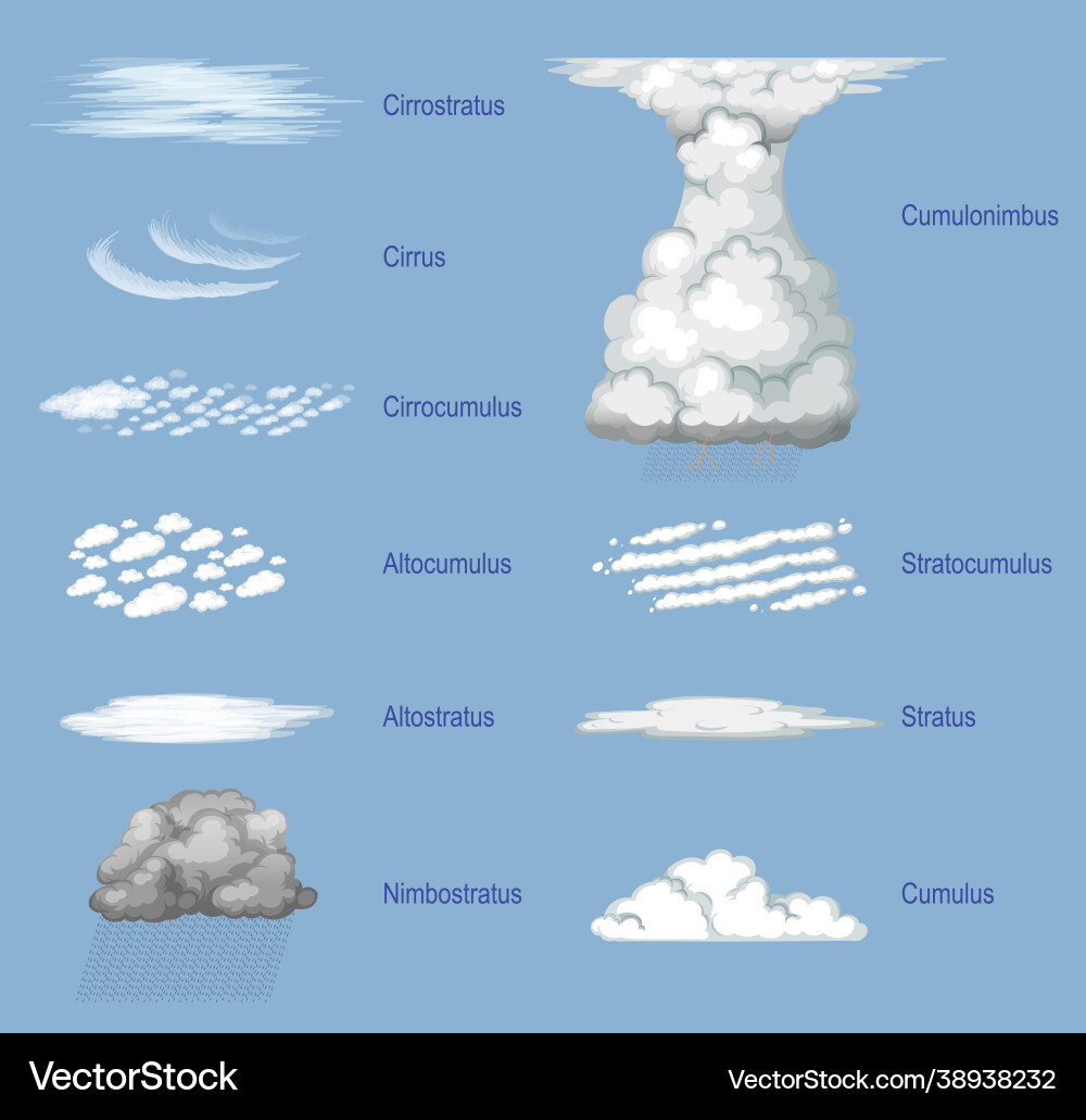 Different types clouds with names Different types clouds with names vector image