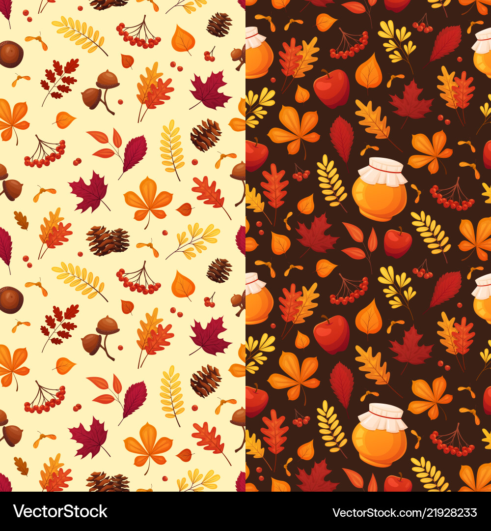 Autumn Leaf Patterns Vector Image