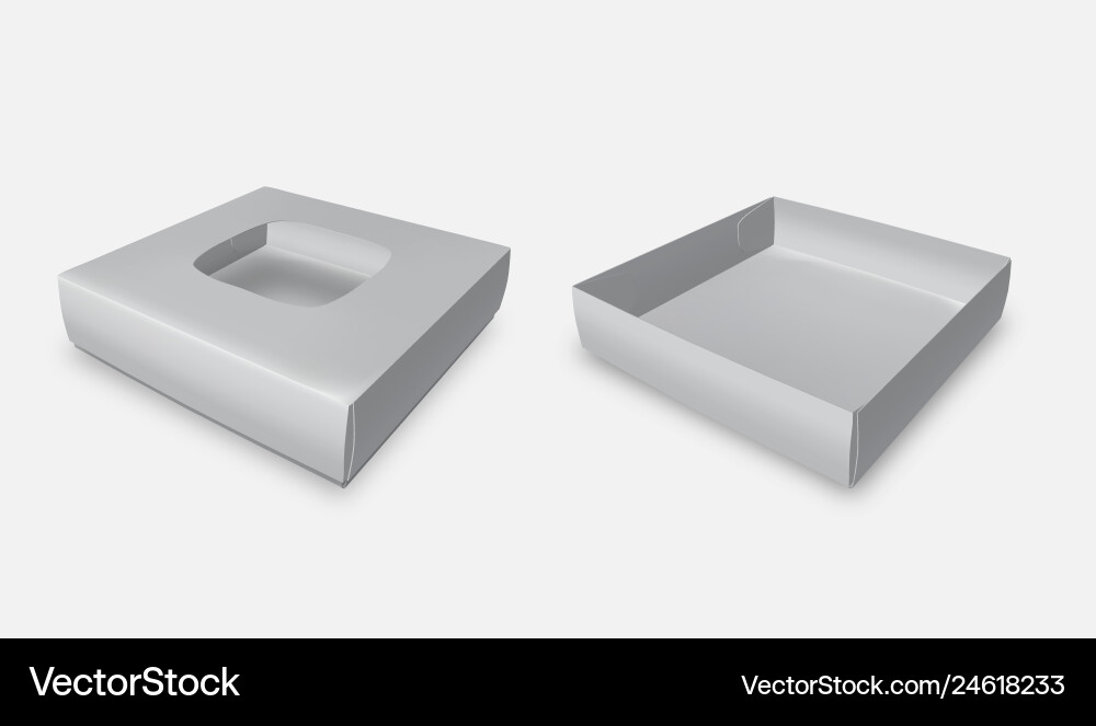 Packing for pizza or cake on white isolated Vector Image