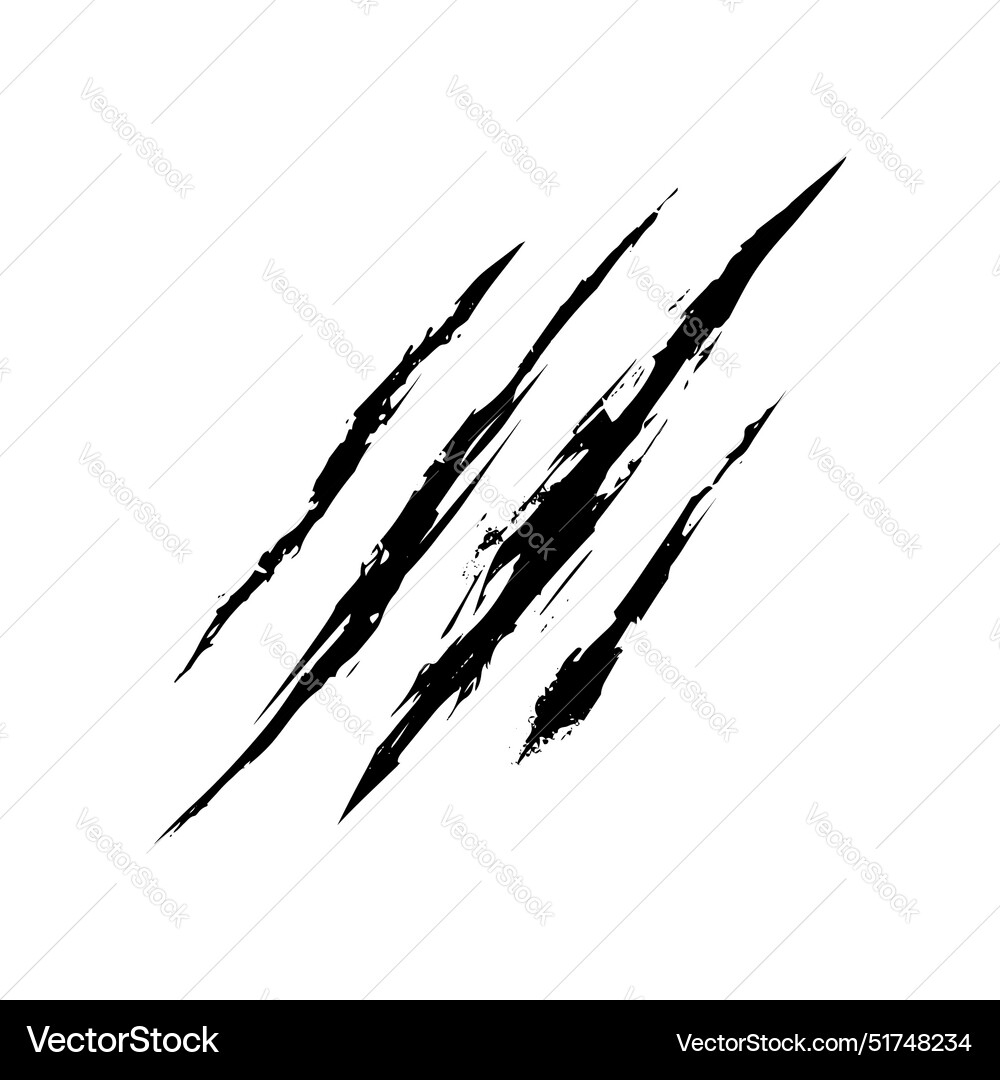 Beast claws scratches isolated Royalty Free Vector Image