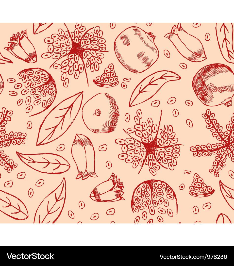 Red Pomegranate Seamless Pattern Vector Image
