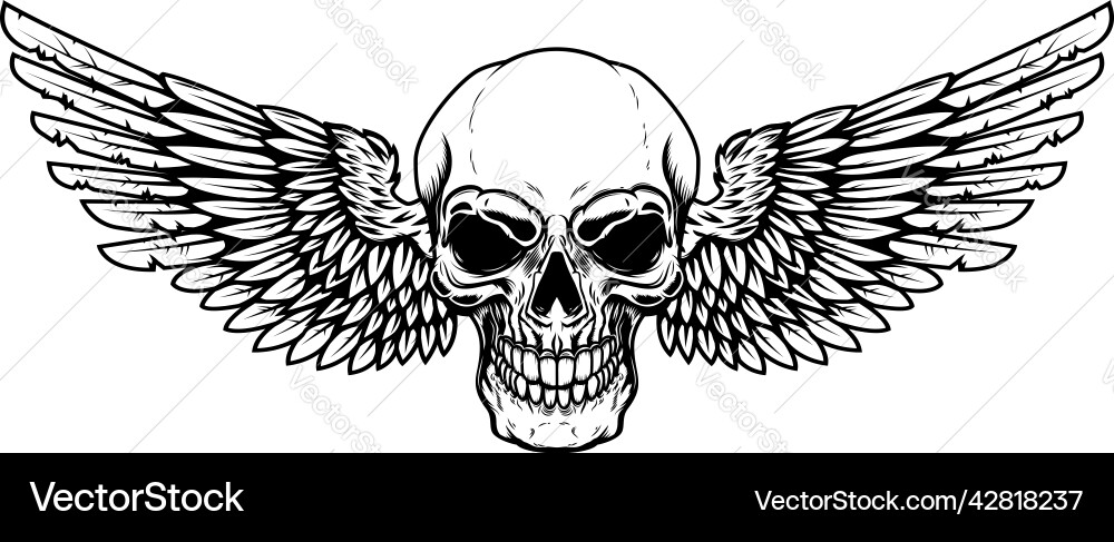 Winged skull design element for emblem sign Winged skull design element for emblem sign vector image