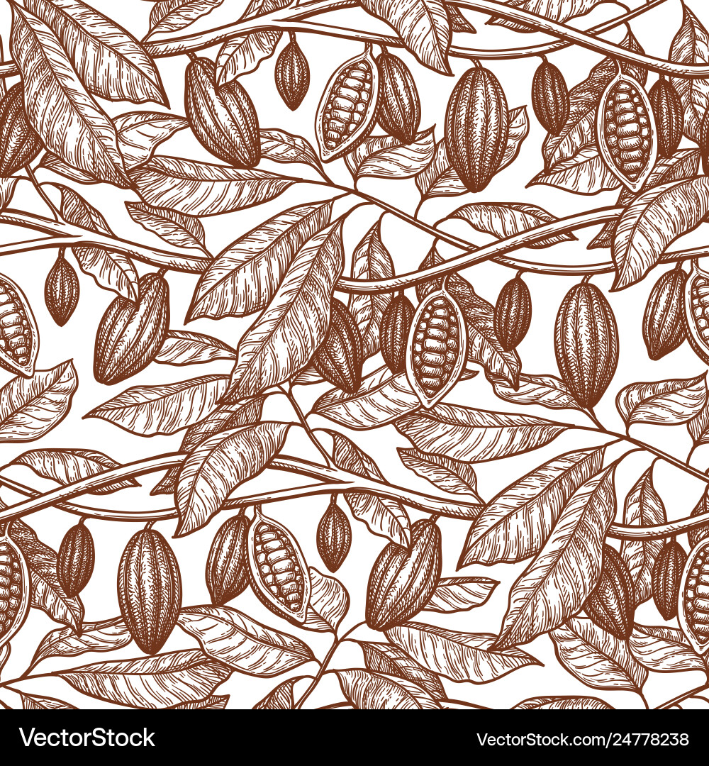 Cocoa Branch Pattern Vector Image