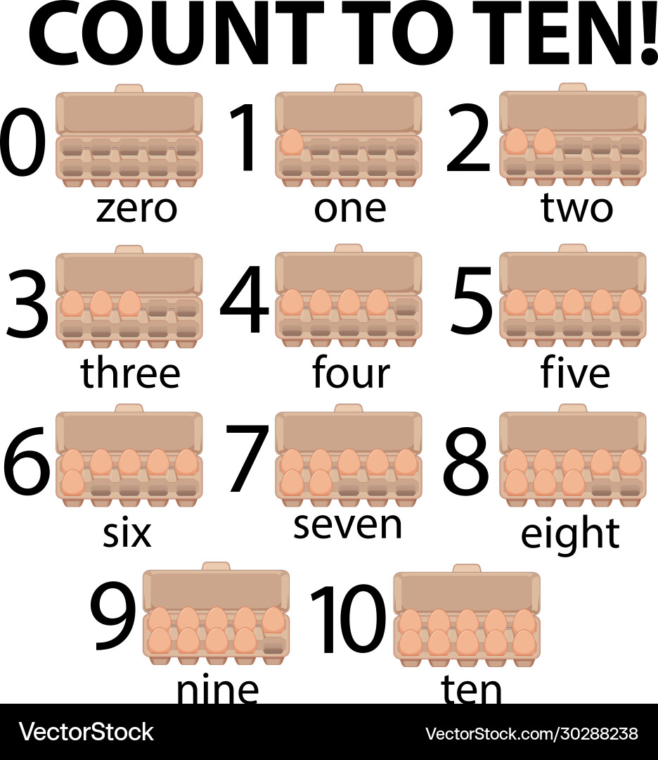 Counting numbers with eggs in carton vector image