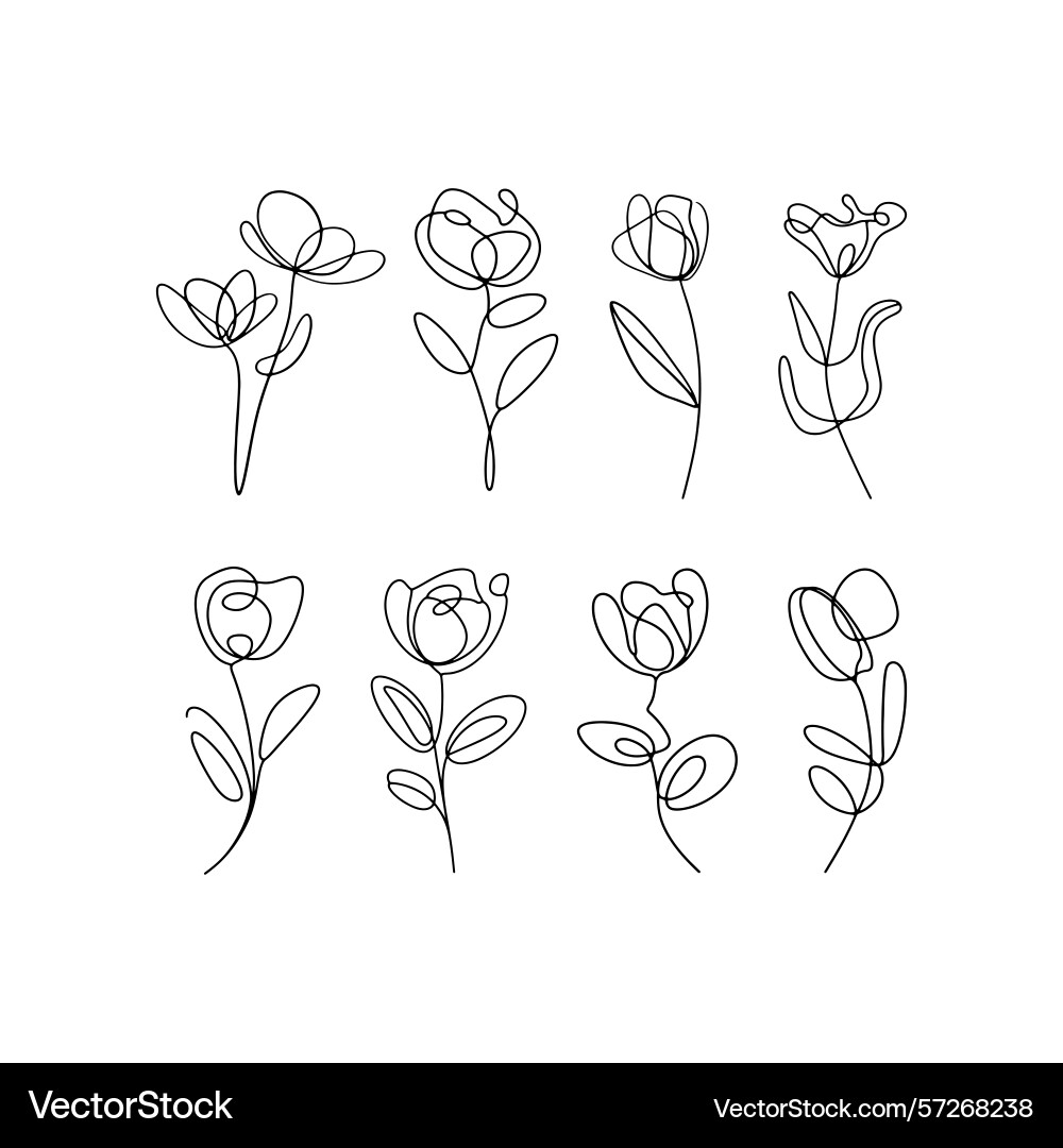Minimal tulip sketch simple outlines Vector Image