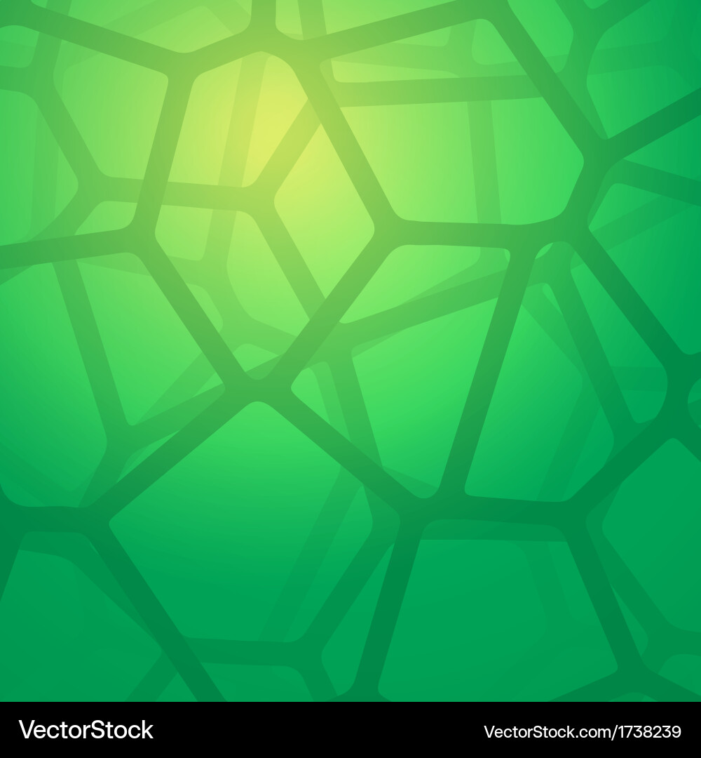 Cellular Network Pattern Vector Image