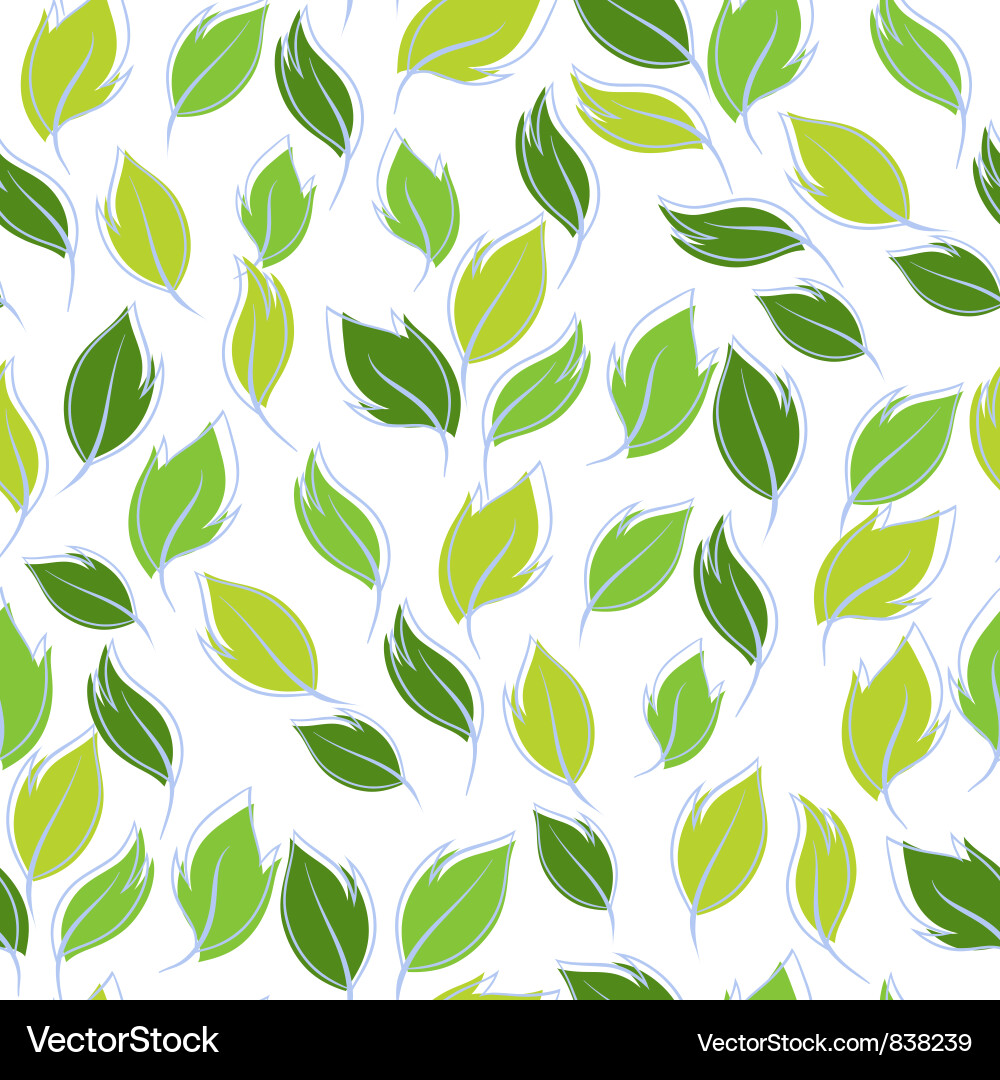 Elegant Leaf Pattern vector image