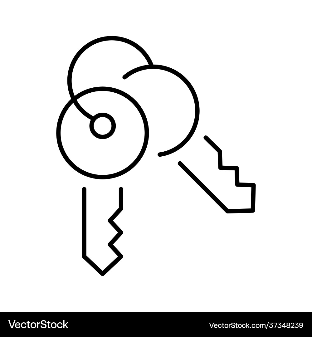 Outline simple keys on ring icon Outline simple keys on ring icon vector image