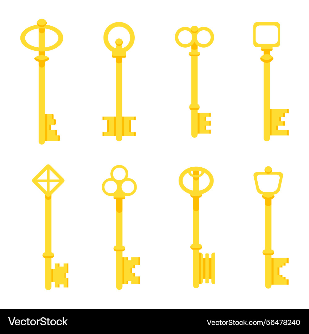 A set of keys for locks in simple style Vector Image