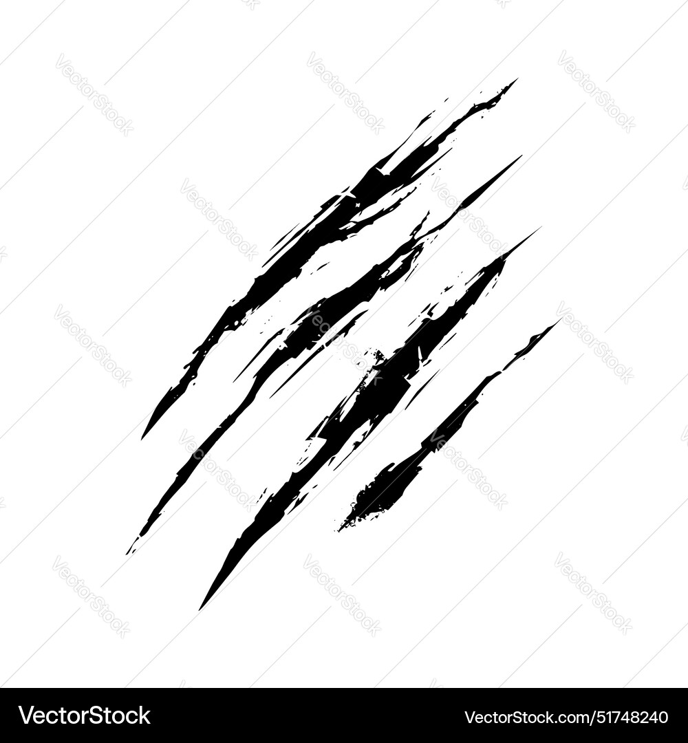 Aggressive Claw Scratches vector image