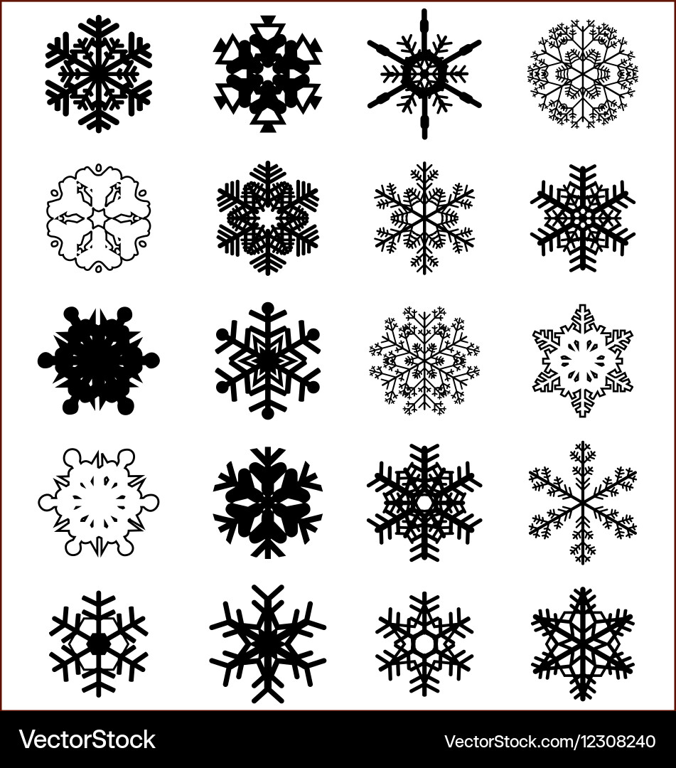 Elegant Snowflake Collection Vector Image