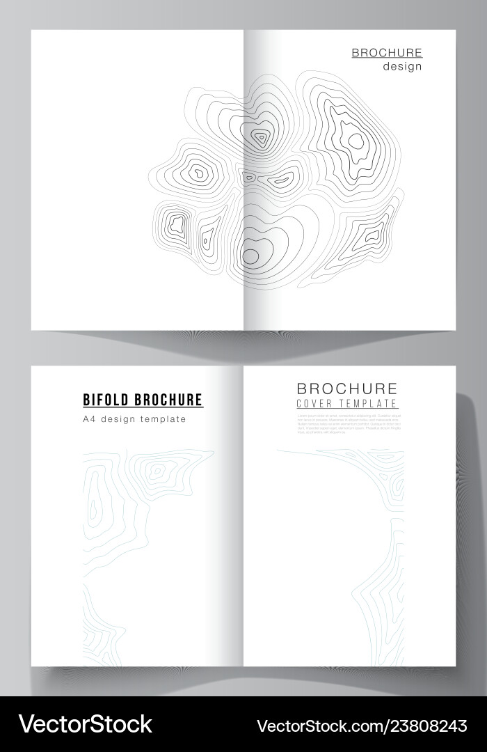 Layout of two a4 format modern cover Layout of two a4 format modern cover Vector Image