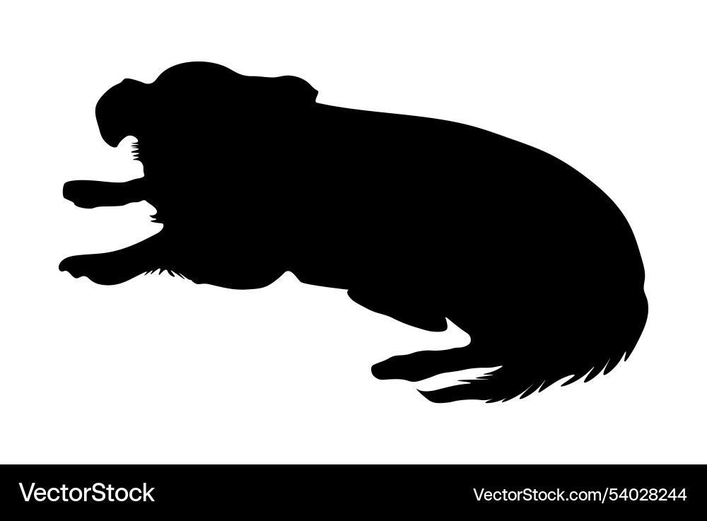 Hund schwarz Silhouette Hund schwarz Silhouette vektorbild