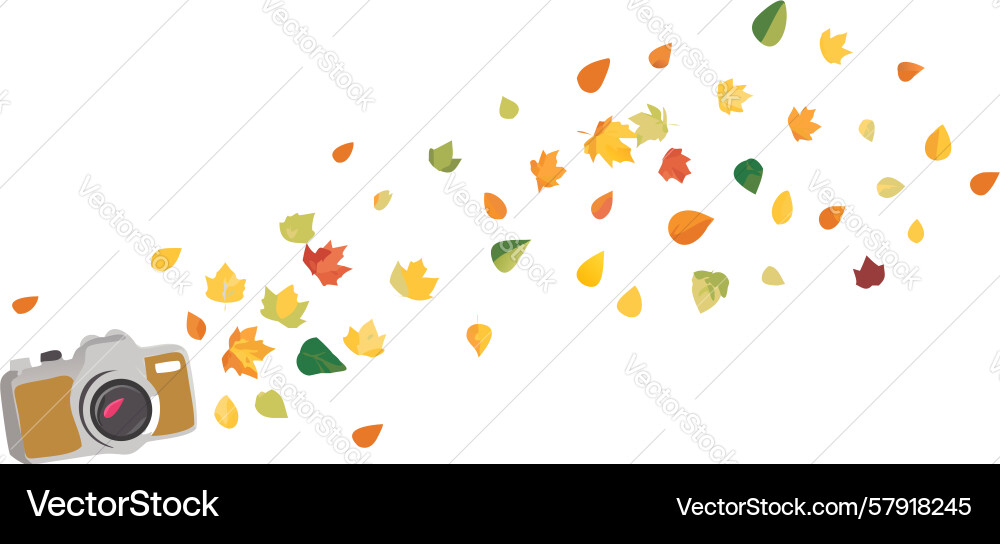 Camera with autumn leaf stream flow design Vector Image