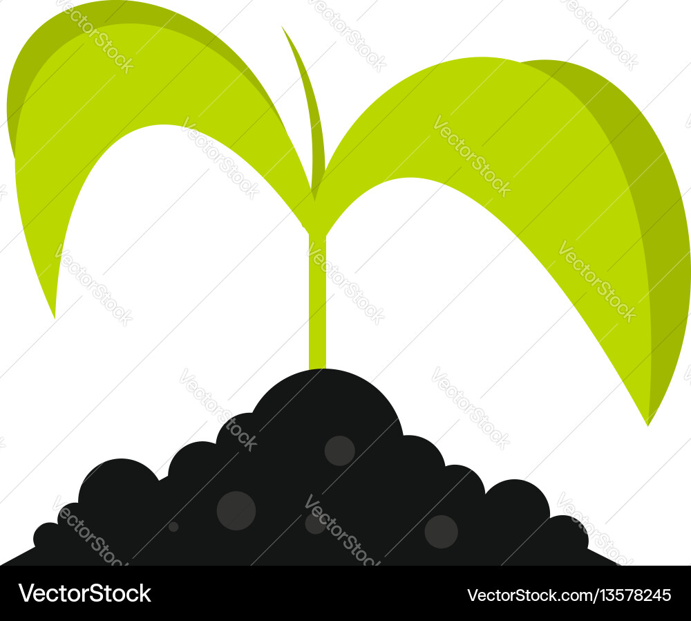 Green seedling in soil icon flat style Green seedling in soil icon flat style vector image