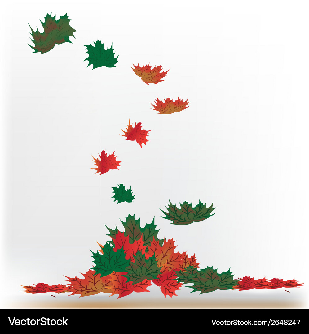 A group colorful leafs falling down from tree Vector Image