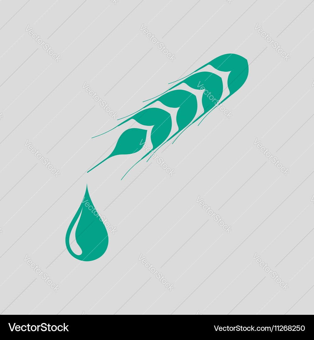 Wheat with drop icon vector image