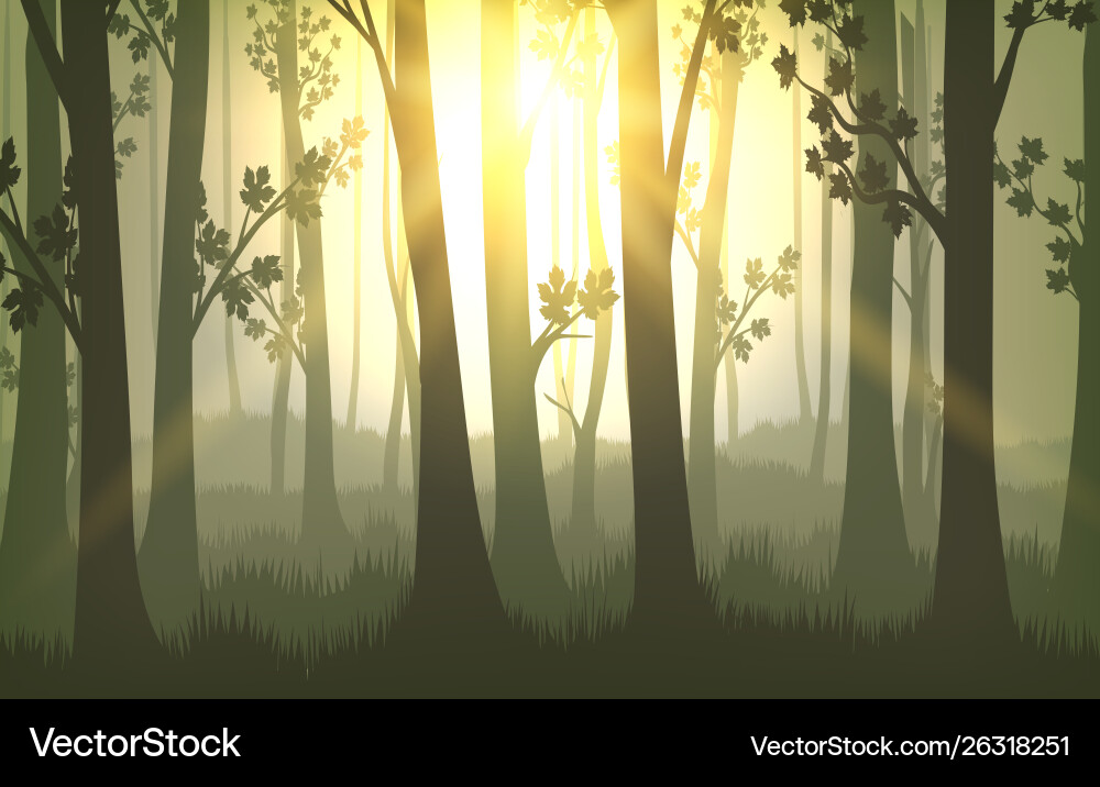 Sunset Forest Tree Trunks Vector Image