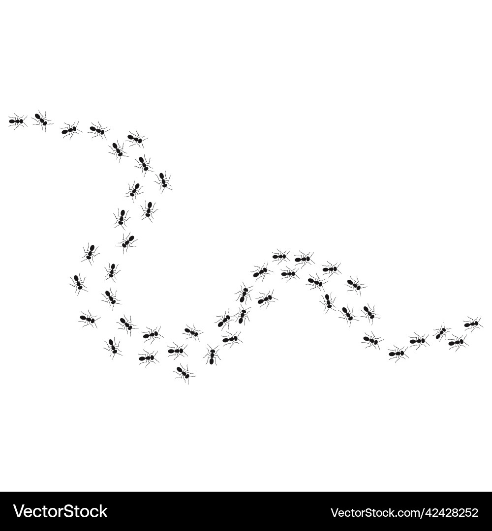 A path of ants running up view from above A path of ants running up view from above vector image