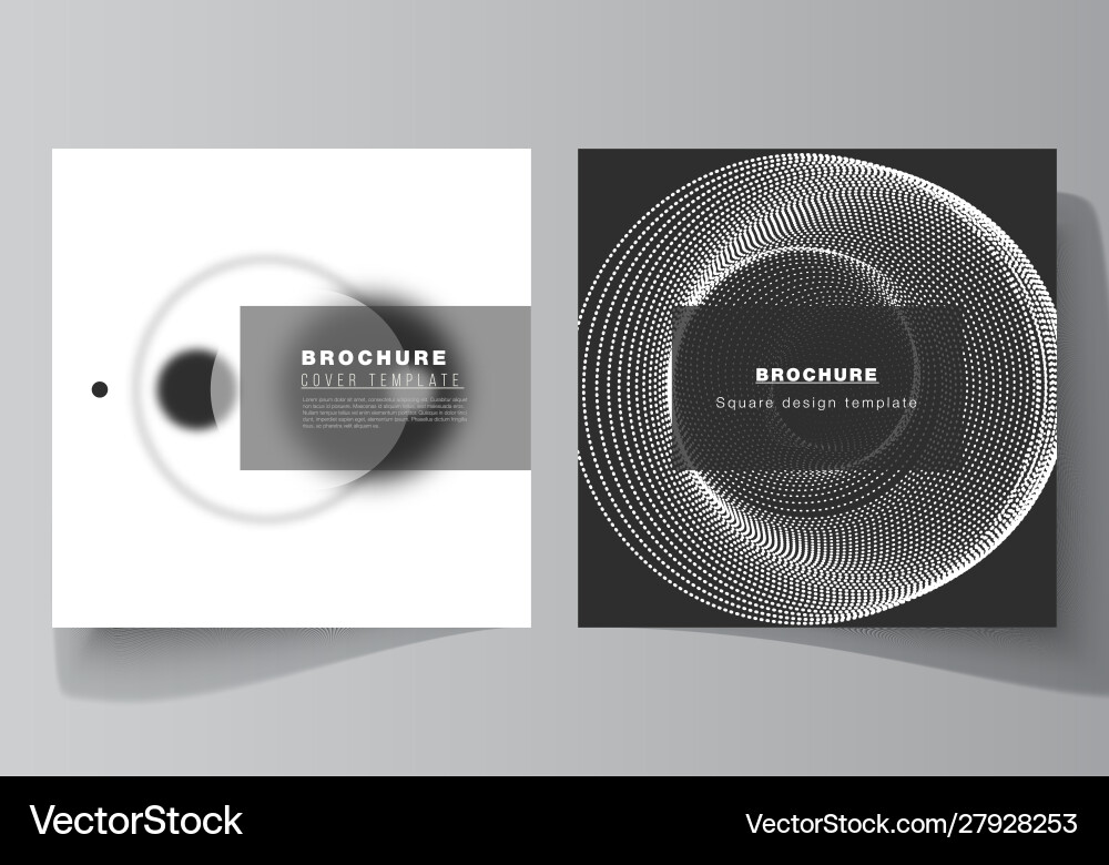 Minimal layout two square format Minimal layout two square format vector image