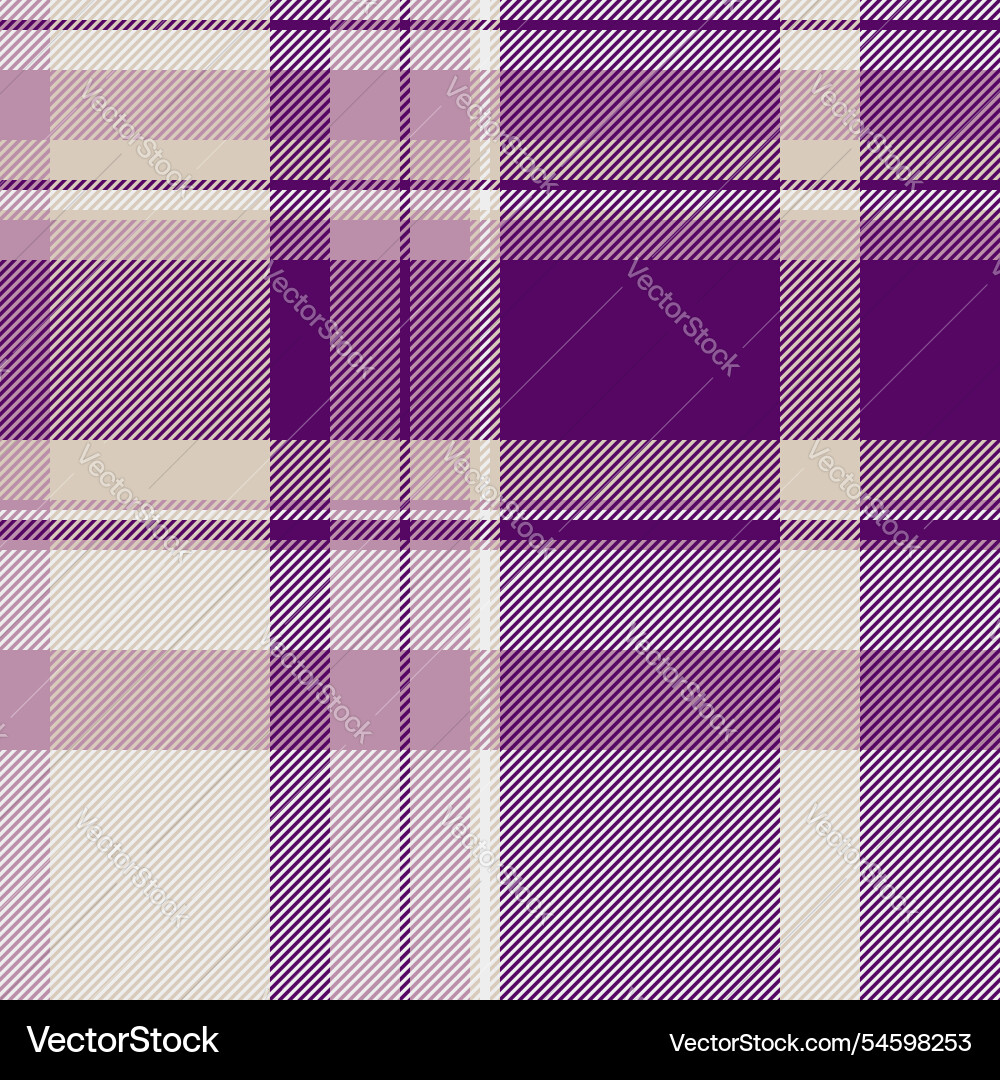 String seamless pattern fabric network tartan vector image