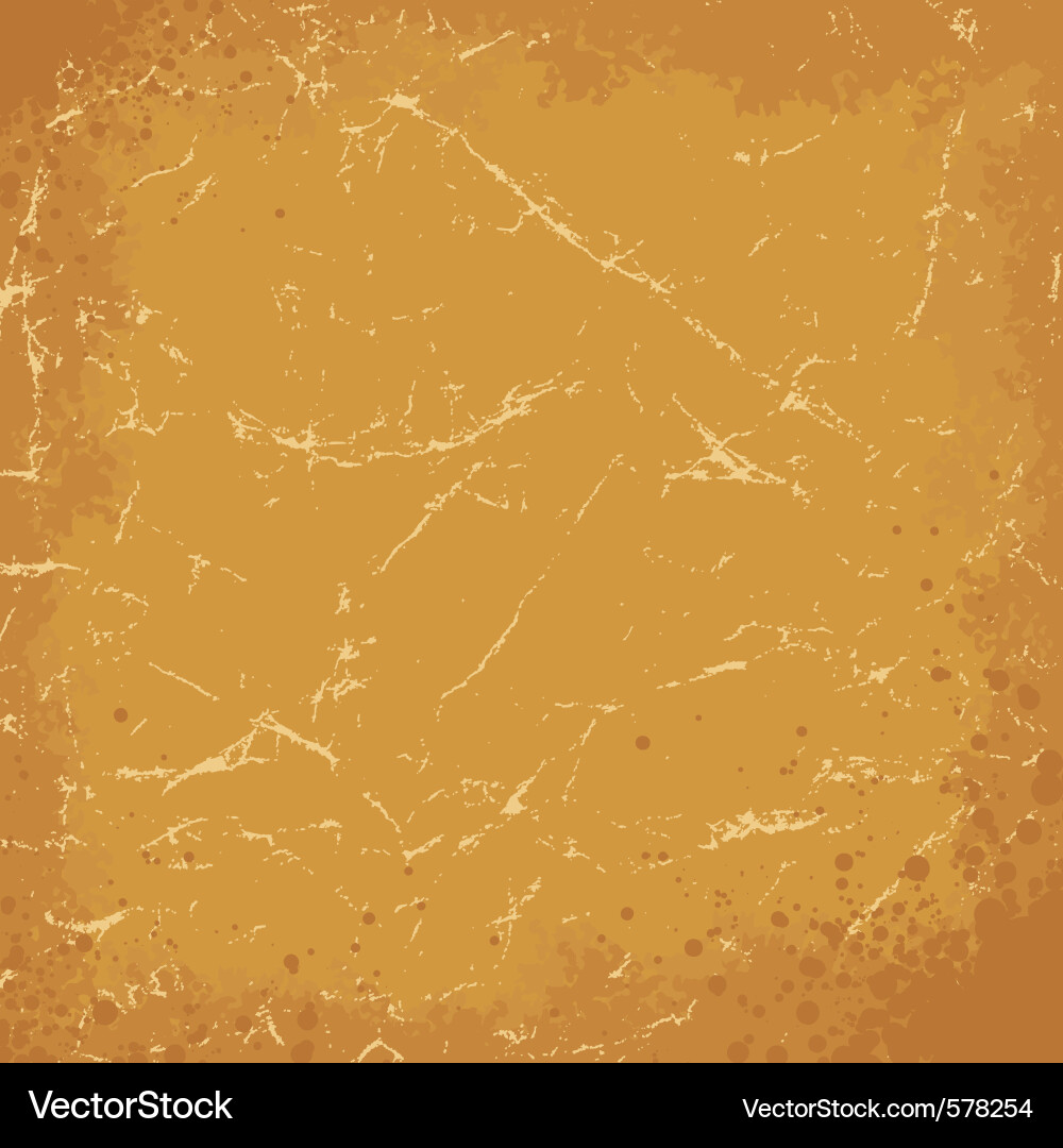 Distressed Grunge Texture vector image