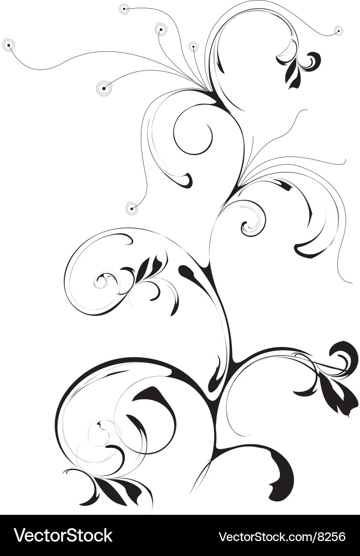 Floral Scroll Pattern vector image