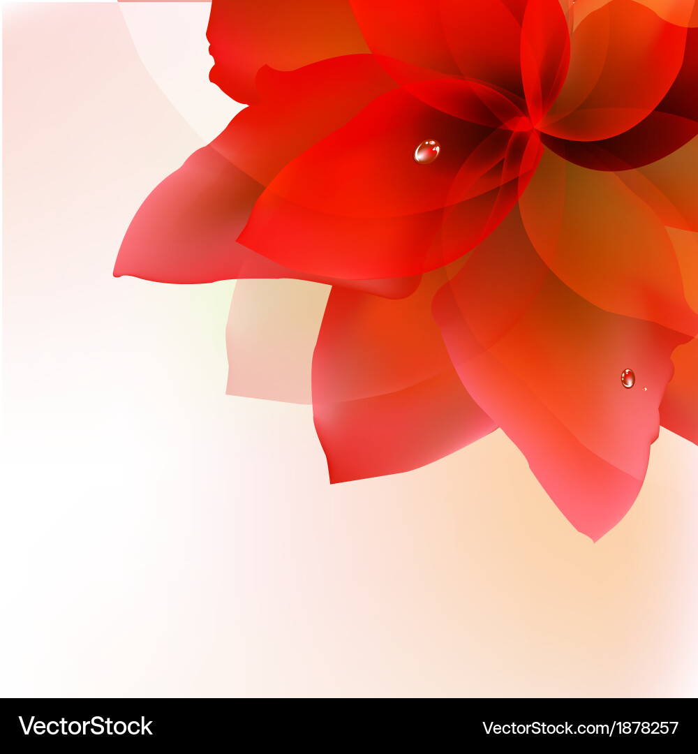 Abstract red tulip with blur Vector Image
