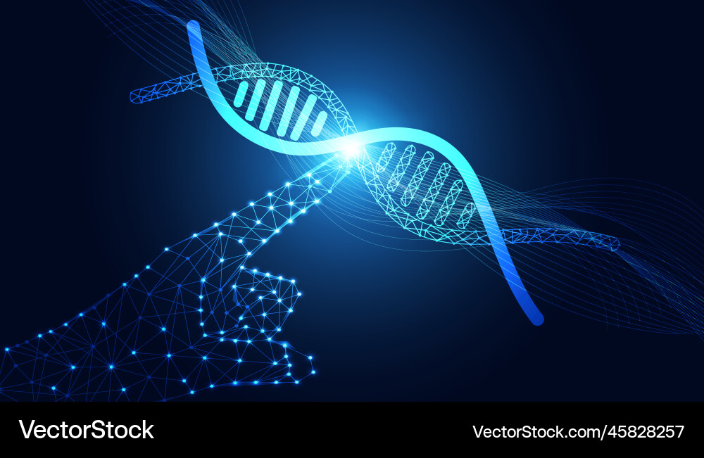 Abstrakte hand digitale drahtrahmen zeigen dna Abstrakte hand digitale drahtrahmen zeigen dna vektorbild