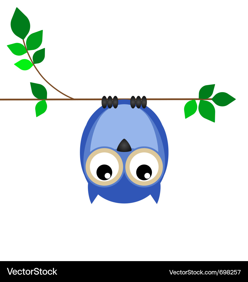 Cute Upside Down Owl vector image