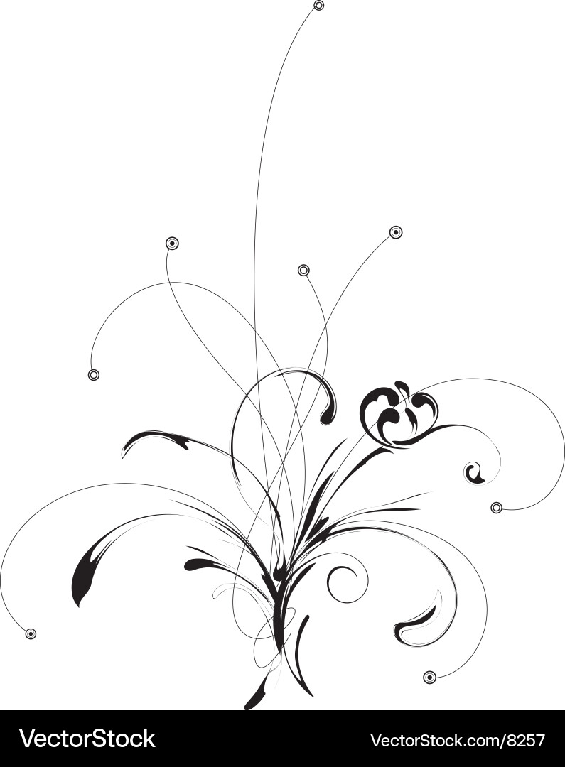 Floral Scroll Pattern vector image