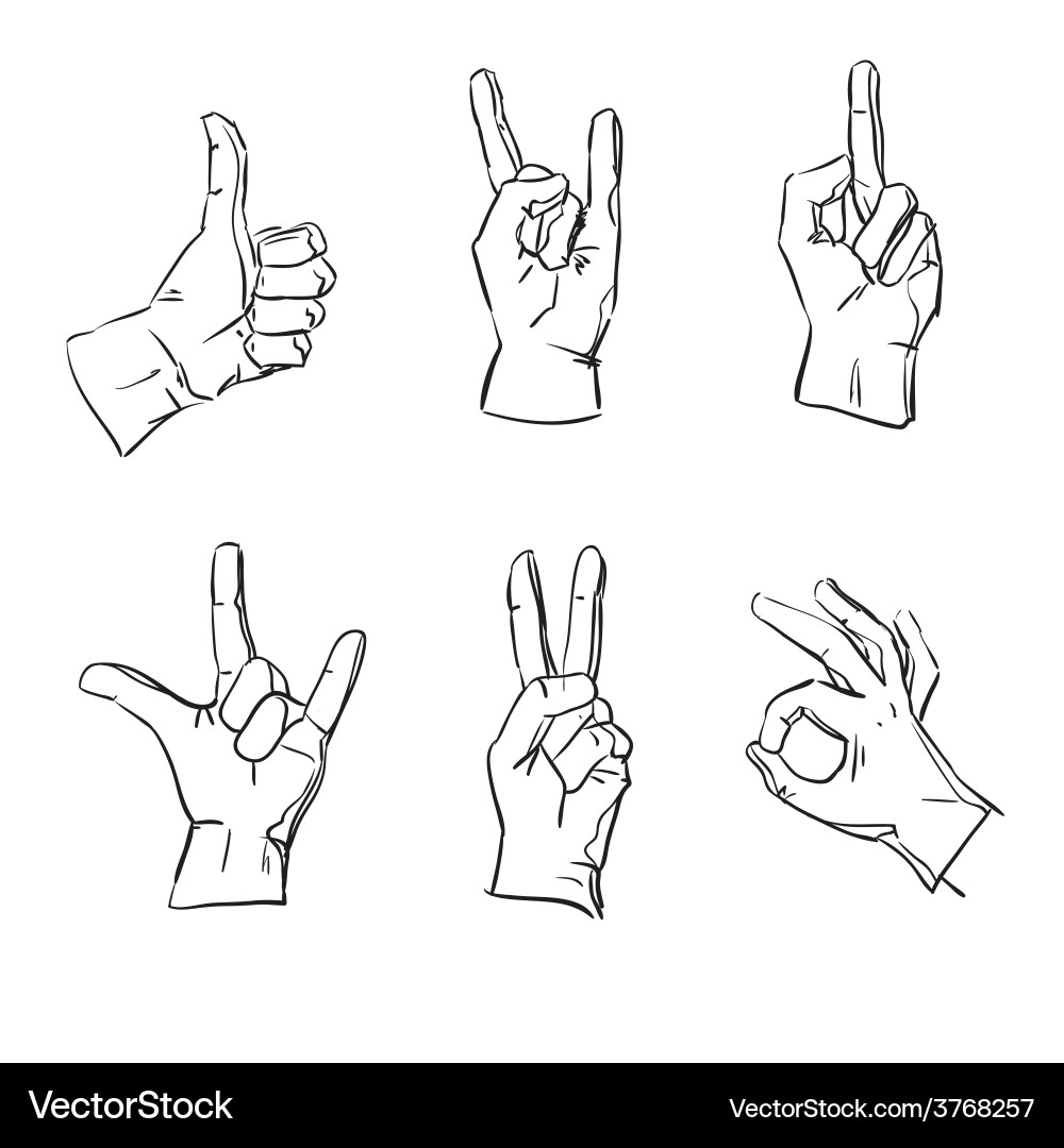 Hands in different interpretations vector image