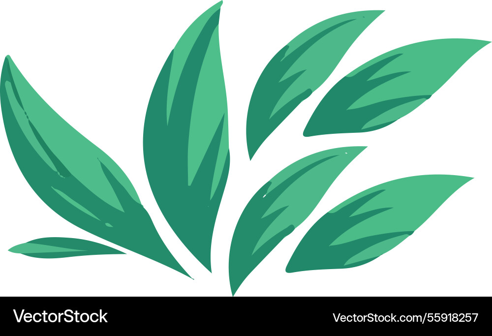 Leaf art Royalty Free Vector Image - VectorStock