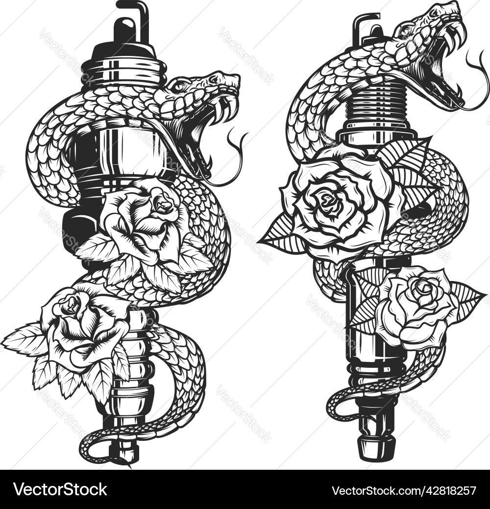 Snake on spark plug and roses design element Snake on spark plug and roses design element vector image