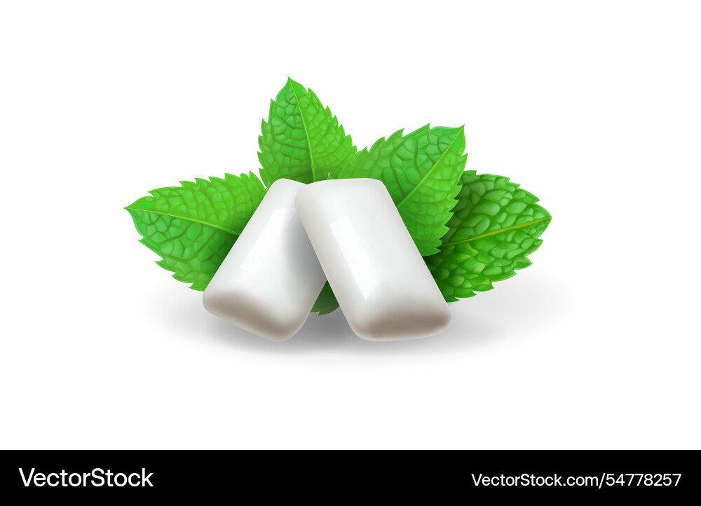 White chewing gum and green mint fresh breath White chewing gum and green mint fresh breath vector image