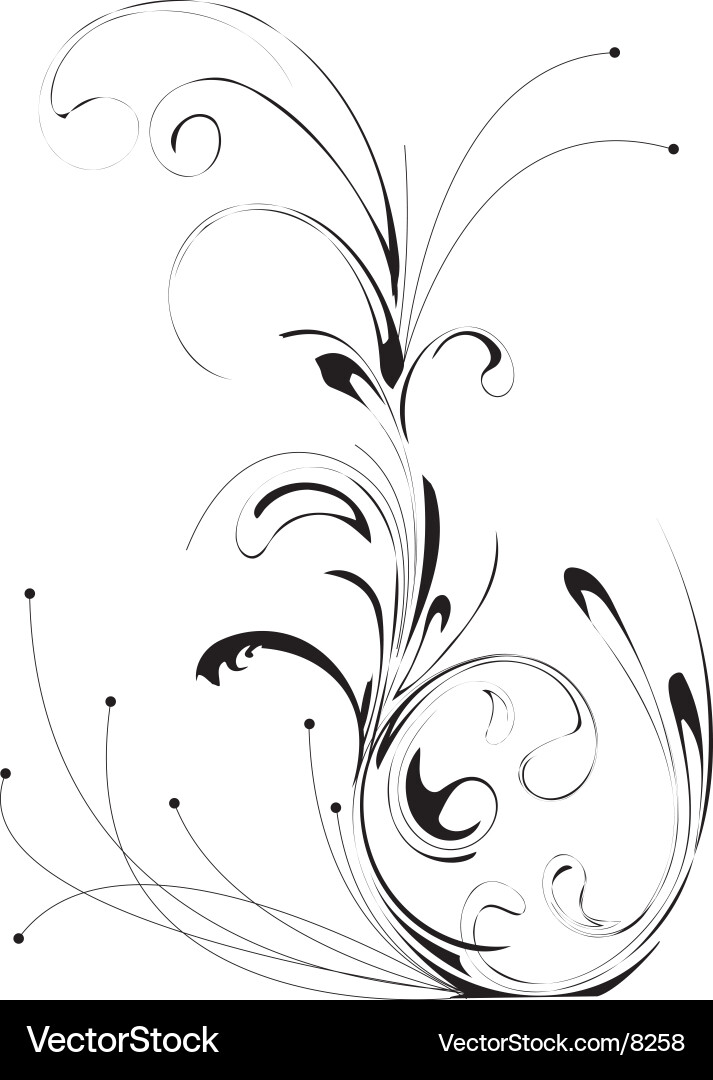 Floral Scroll Pattern vector image