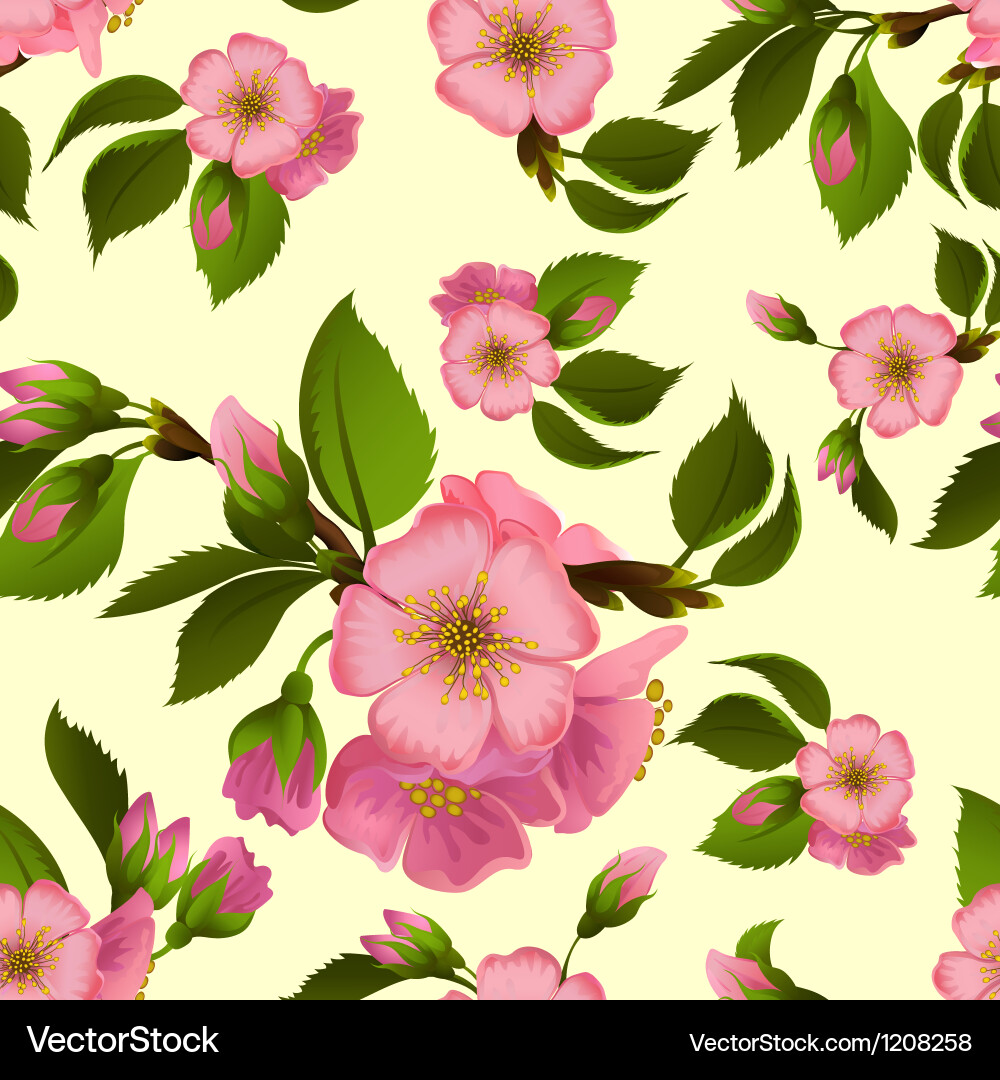 Seamless pattern with spring apple blossom vector image