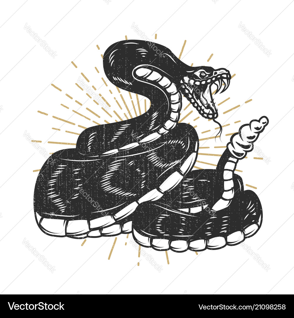 Viper snake design element for emblem sign vector image