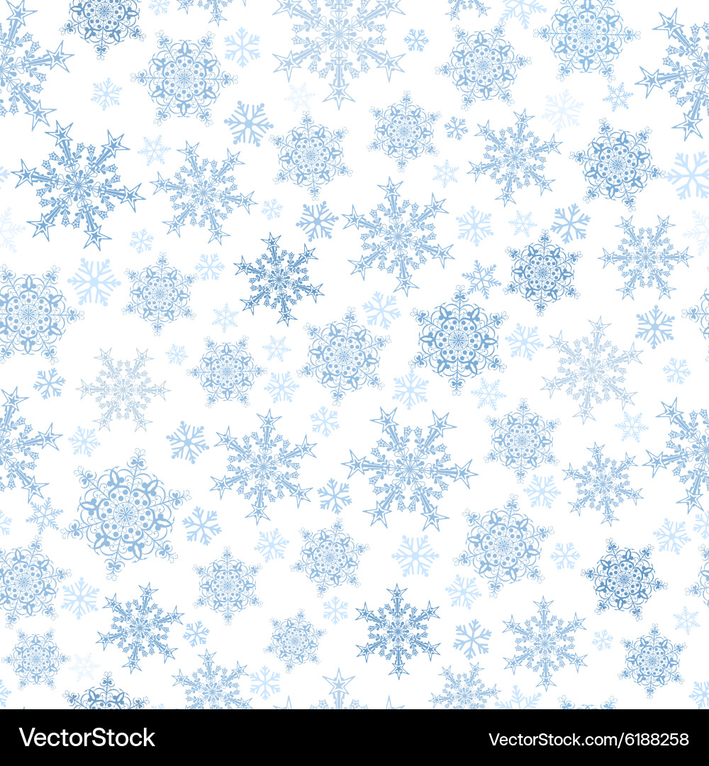 Winter Snowflake Pattern vector image