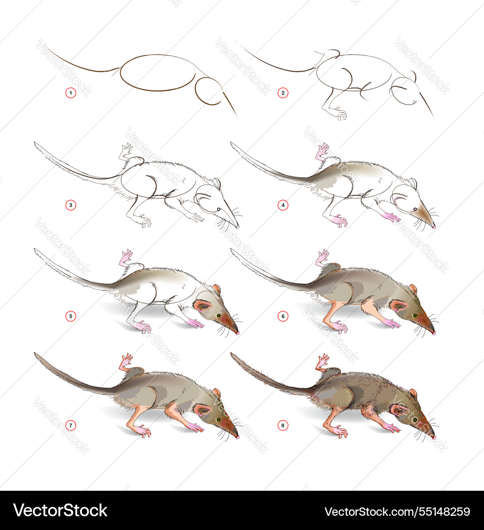 How to learn draw sketch of a cute little How to learn draw sketch of a cute little Vector Image