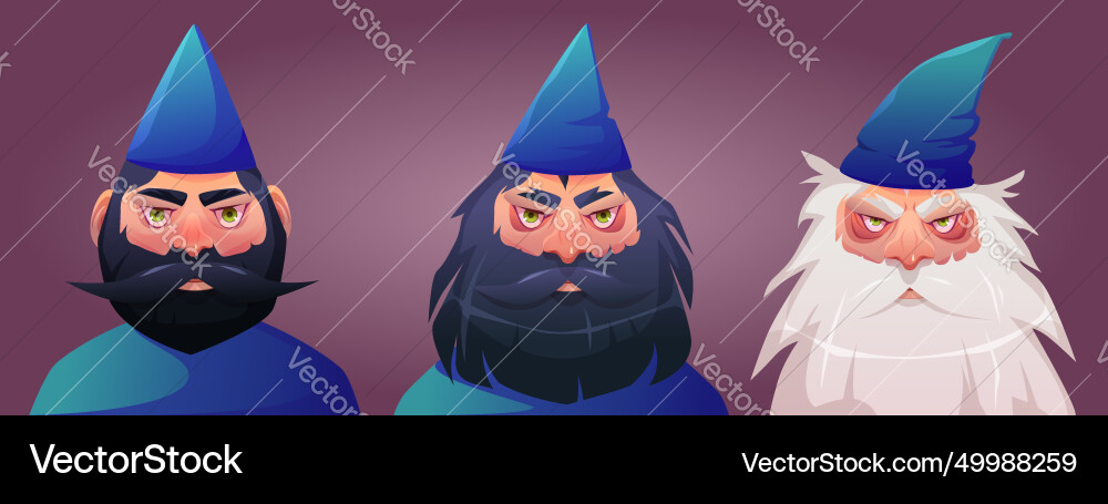 Male wizard portrait - sorcerer face aging process Male wizard portrait - sorcerer face aging process vector image
