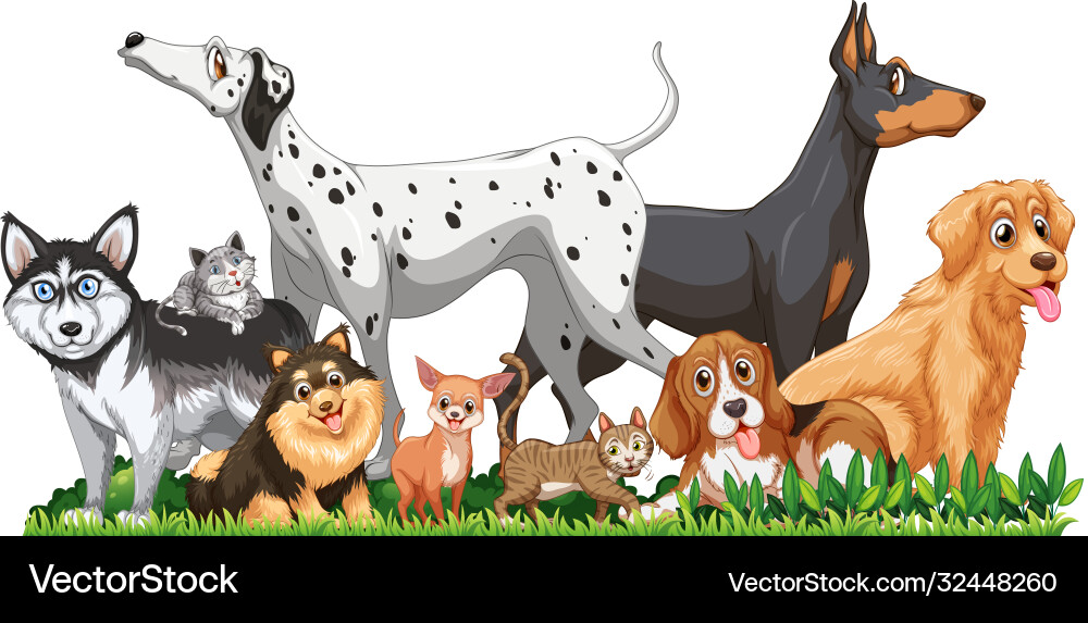 Cute different dogs group isolated Cute different dogs group isolated vector image
