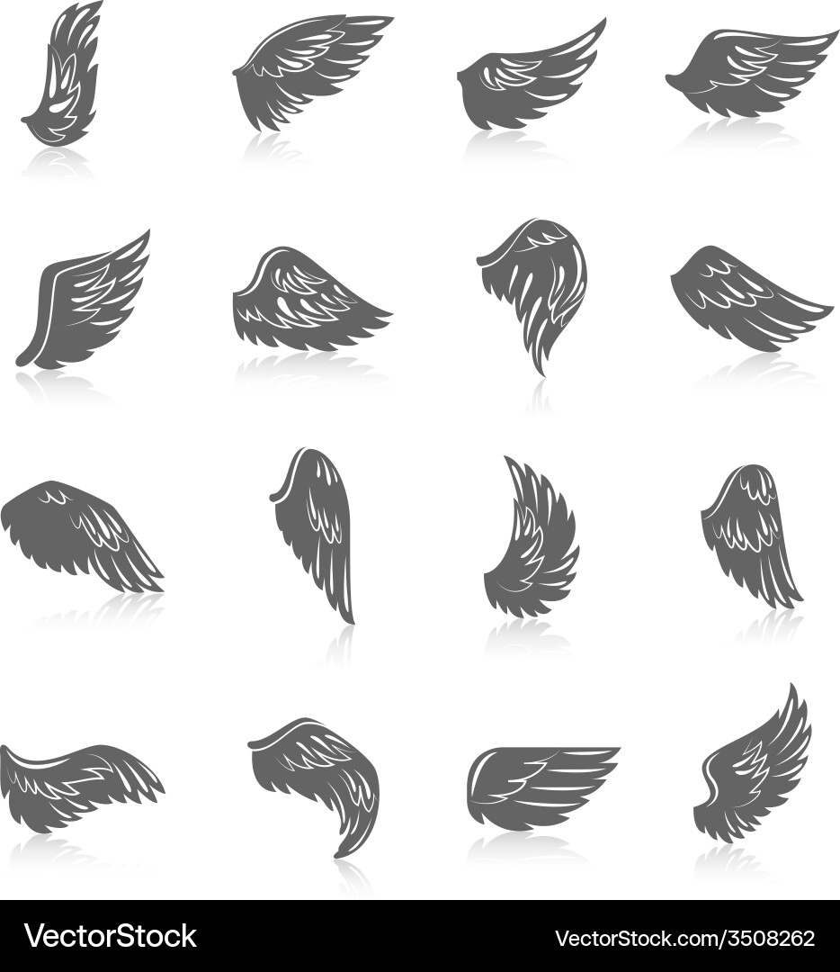 Wing icon set Royalty Free Vector Image - VectorStock