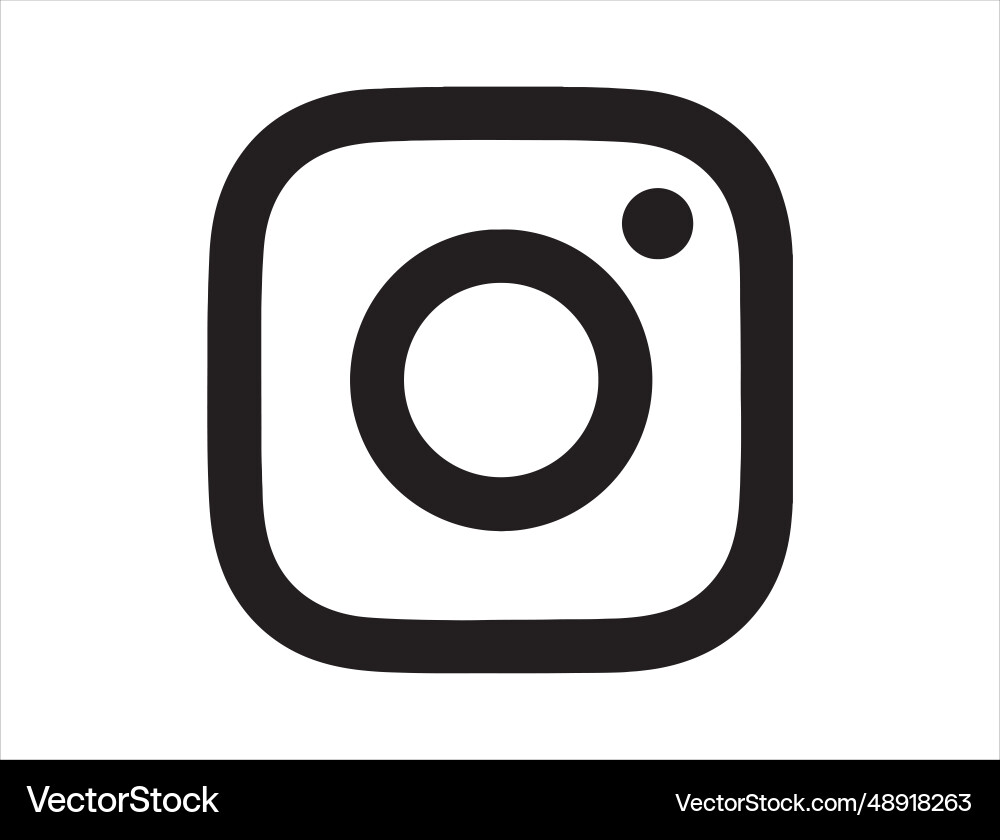 Instagram icon silhouette art vector image