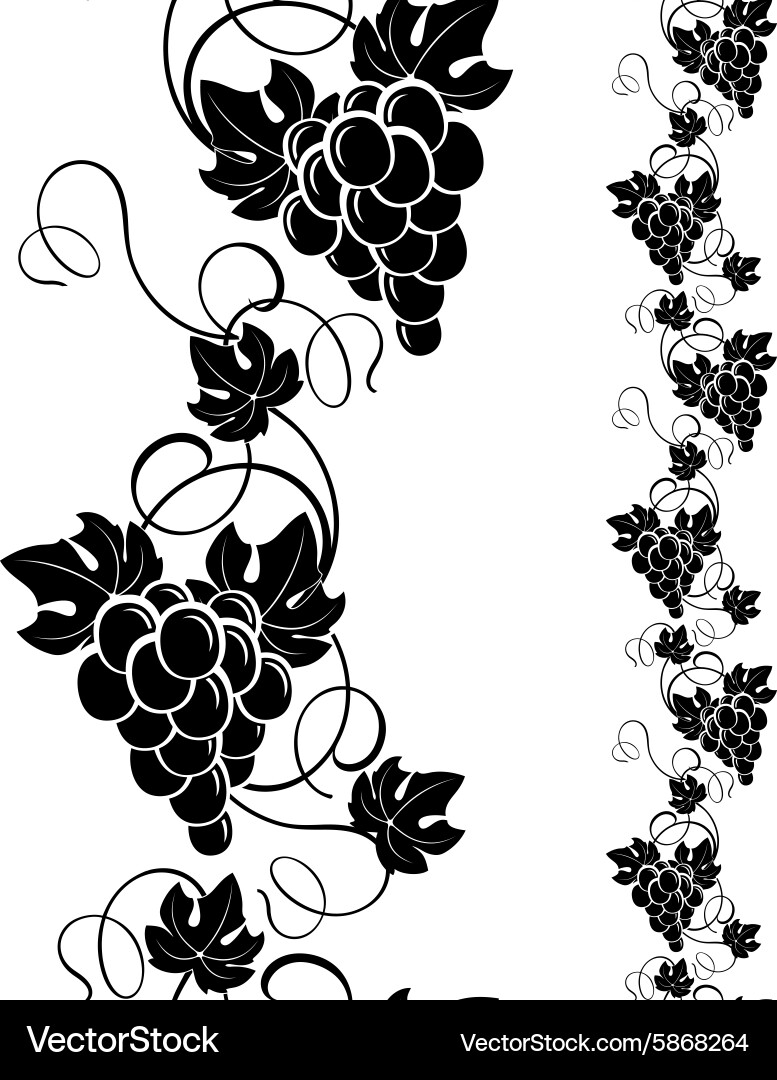 Elegant Grapevine Pattern vector image