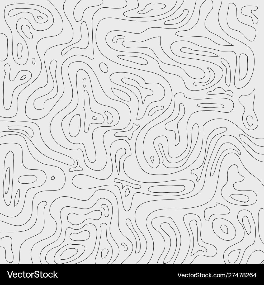 Topographic Contour Map Pattern vector image
