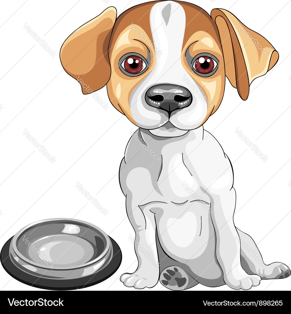 Jack Russell Terrier Sketch vector image