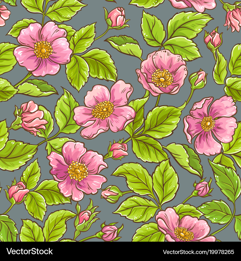 Pink Rose Floral Pattern Vector Image