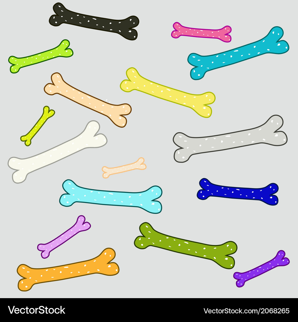 Seamless pattern from colorful bones on gray Vector Image